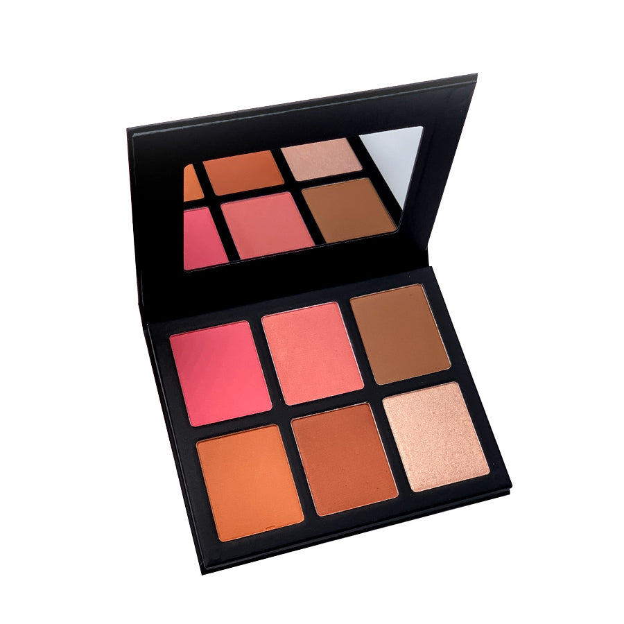 Bronzer Highlighter Blush Matte Powder Palette