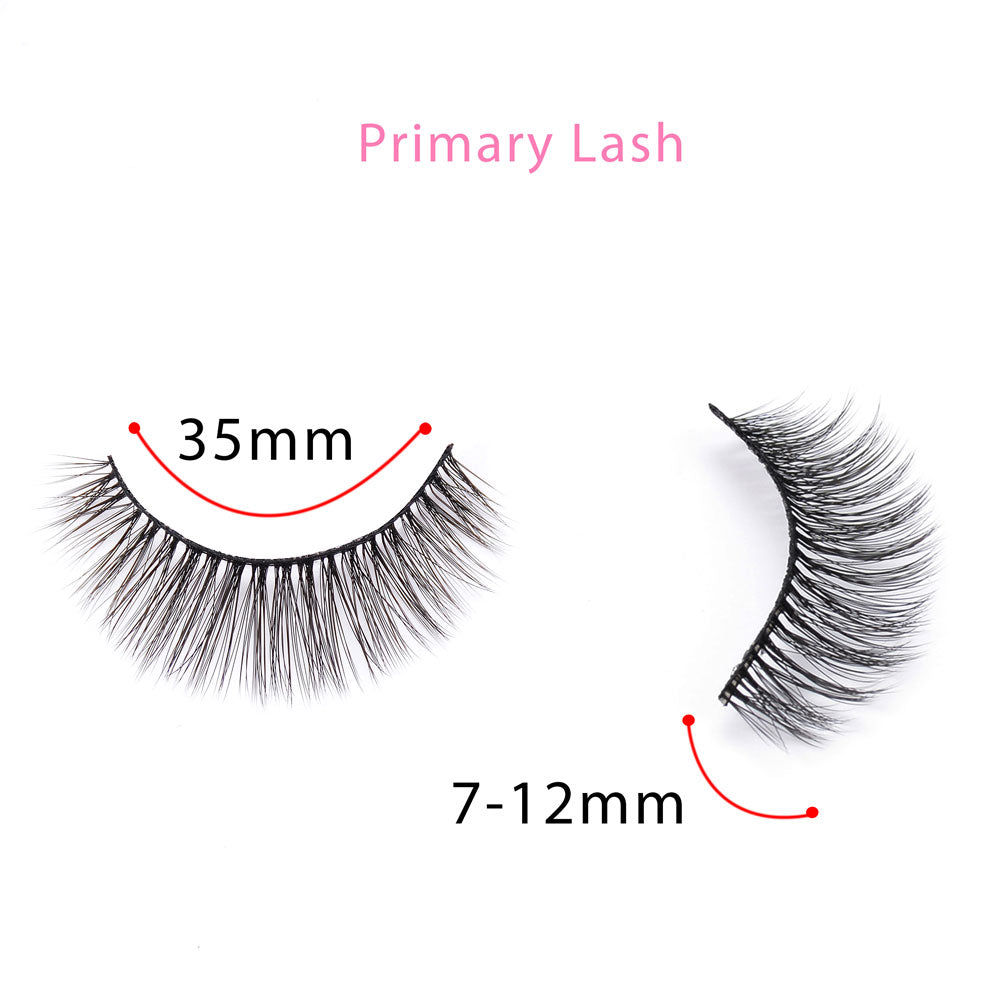 Primary Lash -10 pairs - SindeBella Beauty Store