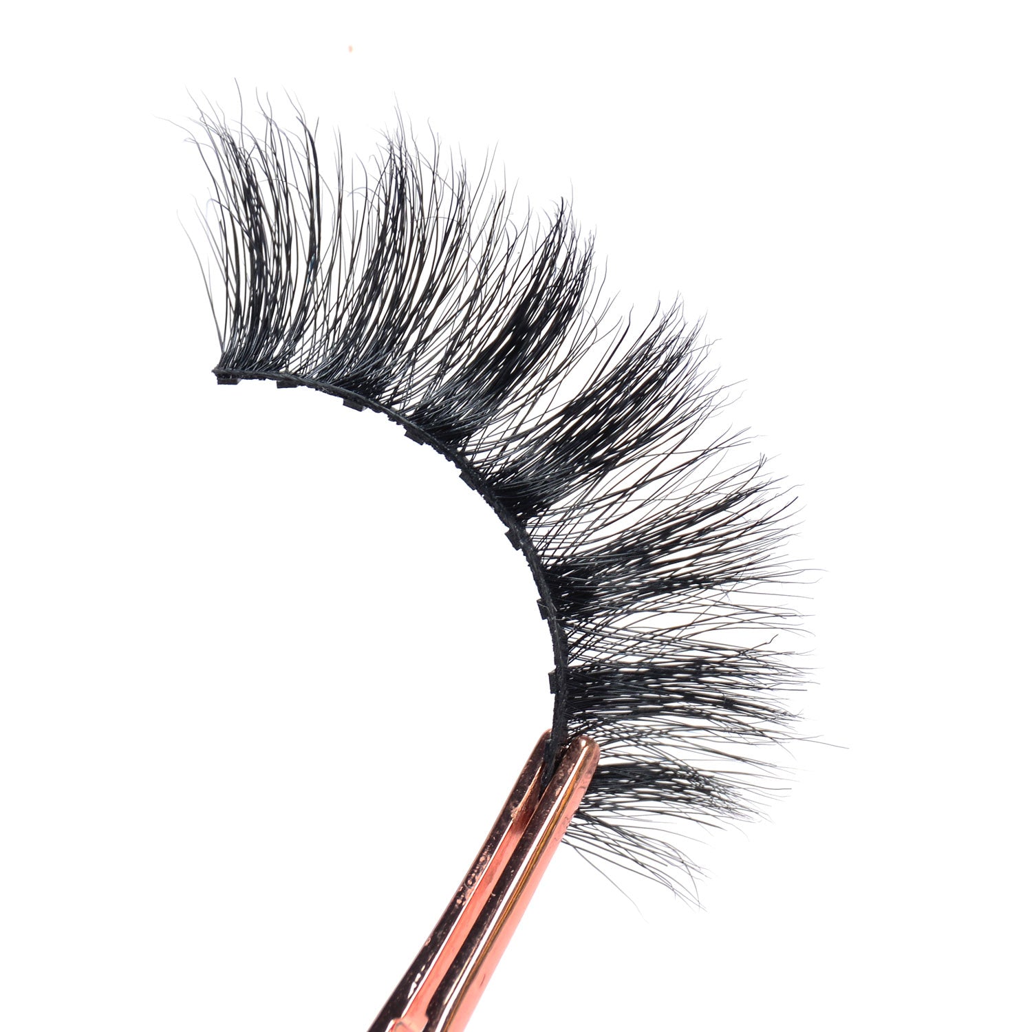 Money 3D Mink Lashes - 10 pairs - SindeBella Beauty Store