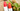 Step-by-Step Guide to Developing a Market-Ready Vegan Lip Balm for Private Label Success