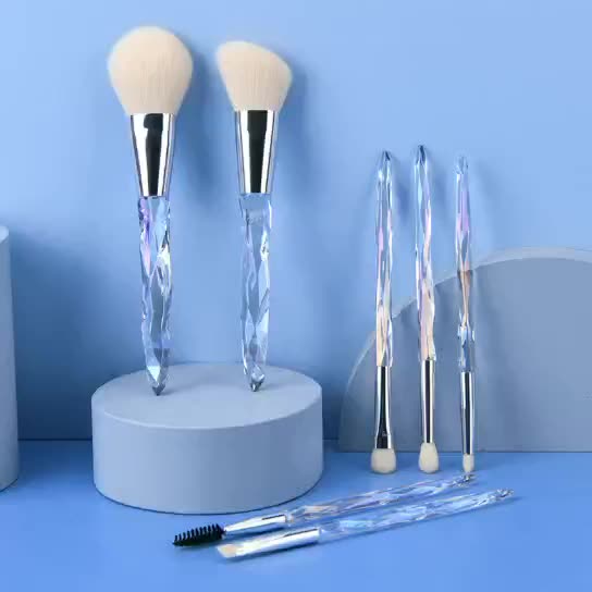 Pinceaux de maquillage de la meilleure qualité de laser de cristal acrylique réglés pour le débutant
