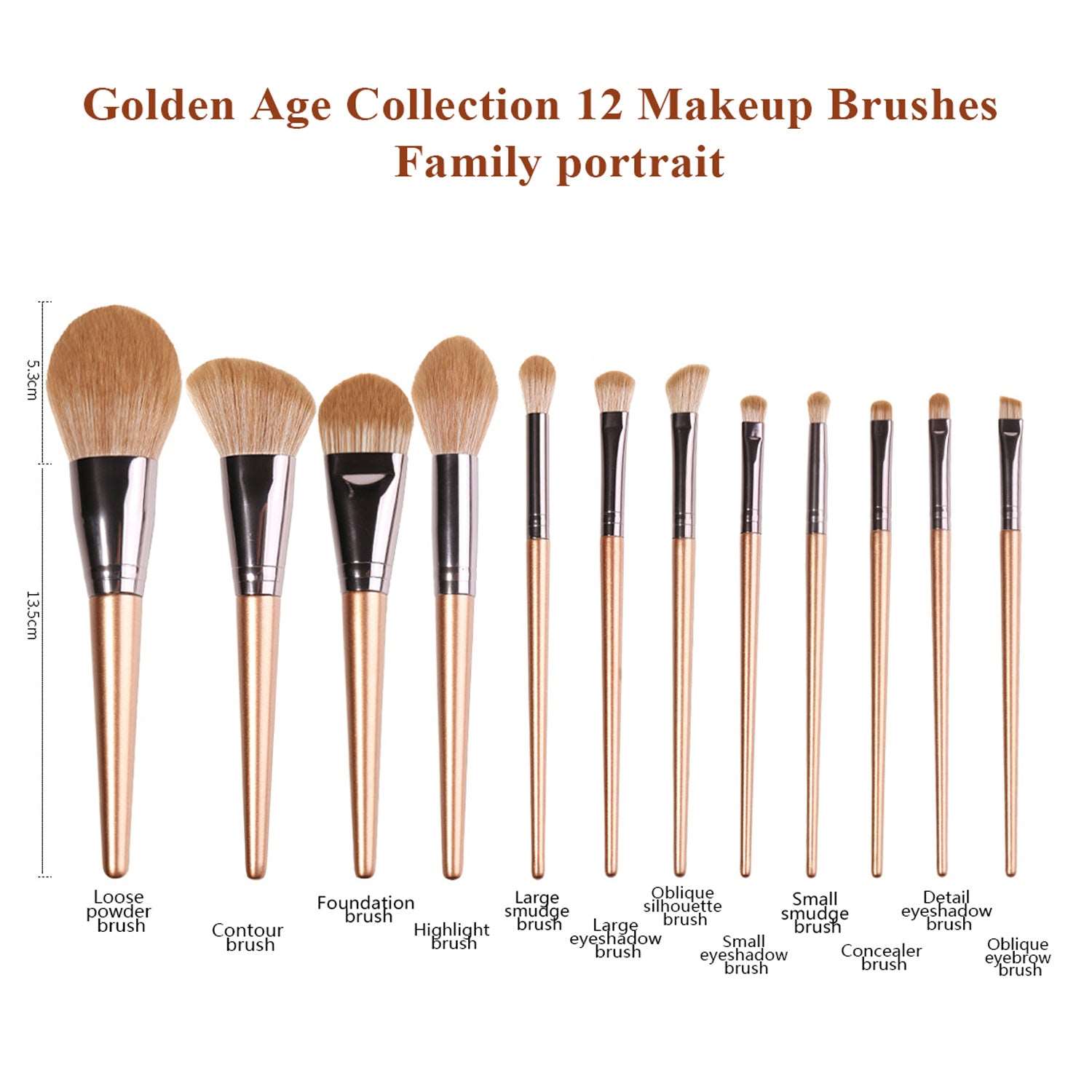 12pcs Champagne Gold Professional Makeup Brush Set