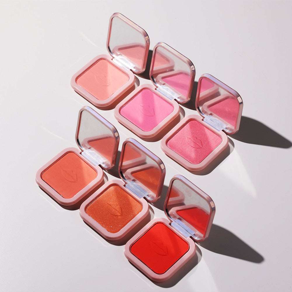 6 Shades Blendable Mineral Blush Powder Sample kit