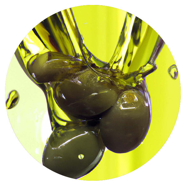 Olive Oil