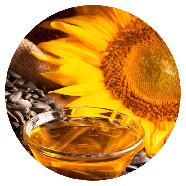 Sunflower Oil in Cosmetics