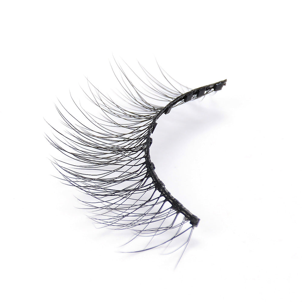 10 aimants Naturale Lashes avec Eyeliner Noir