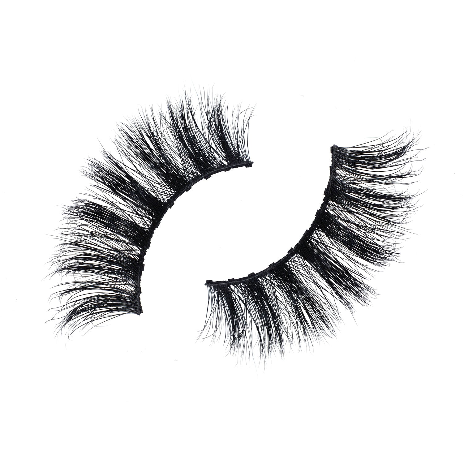 Money 3D Mink Lashes - 10 pairs - SindeBella Beauty Store
