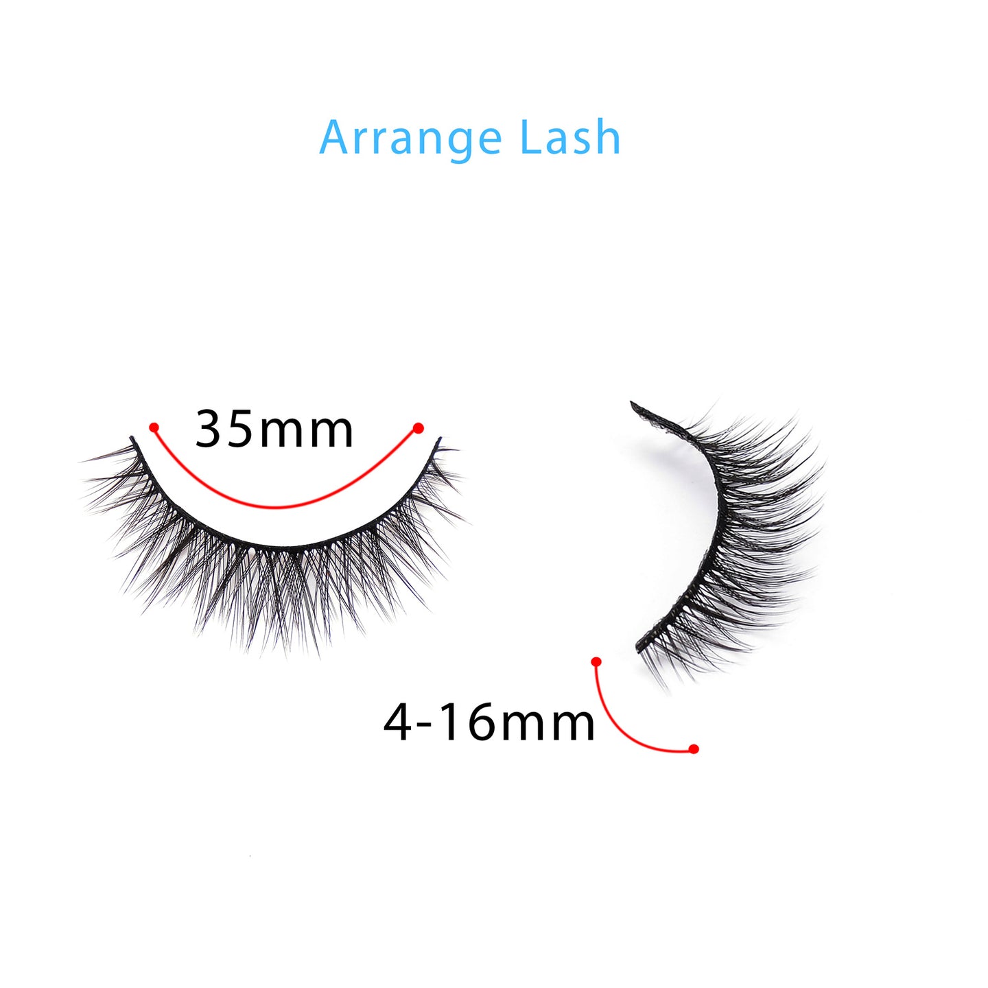 Arrange Lashes -10 pairs - SindeBella Beauty Store