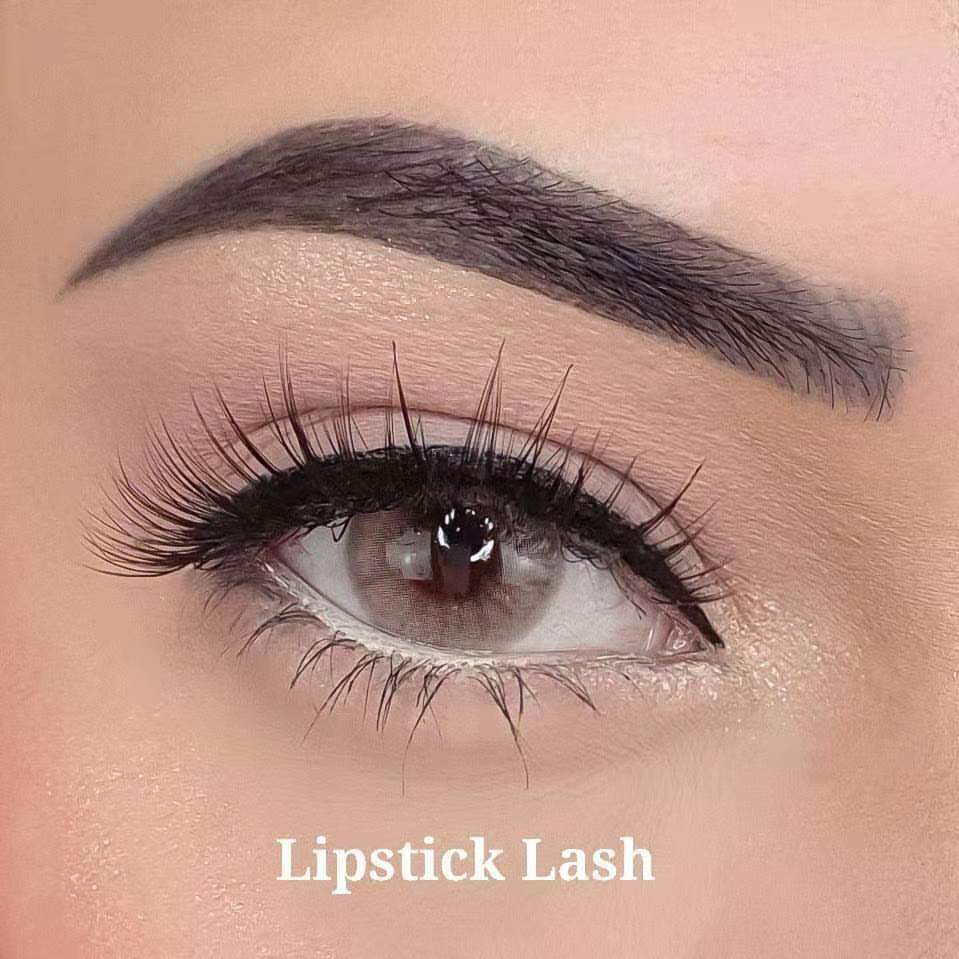 5 Mags Lipstick Magnetic Lash | Daily Charming Lashes - SindeBella Beauty Store