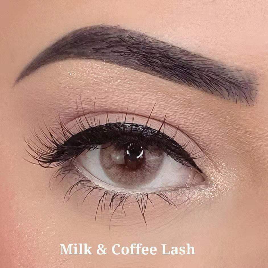 5 Mags Milk & Coffee Magnetic Lashes | Feather Weight - SindeBella Beauty Store